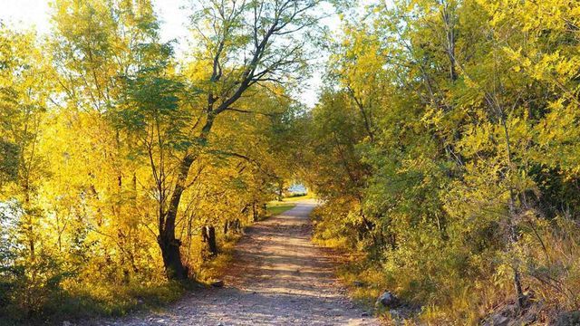 El sendero del perilago en La Falda ofrece un recorrido gratuito entre naturaleza, montañas y vistas del dique, ideal para una salida familiar.