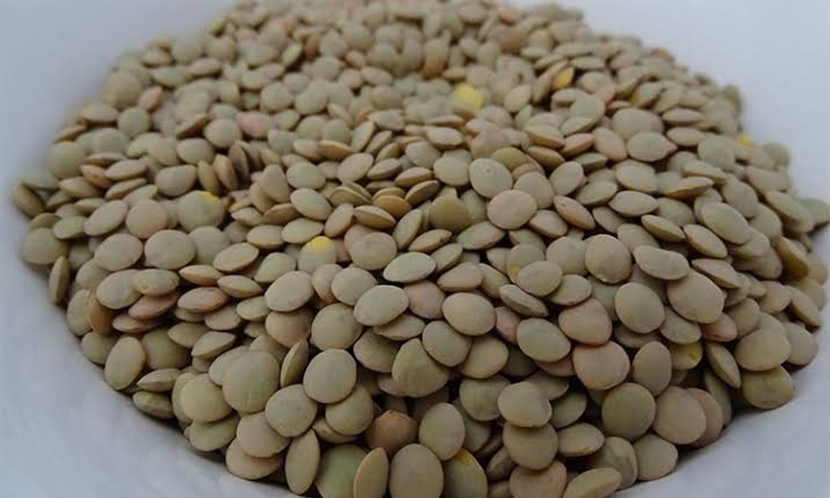 Los nutricionistas expertos explican por qué recomiendan dejar las lentejas en remojo con una pizca de bicarbonato: el sencillo truco para ablandarlas y facilitar la digestión