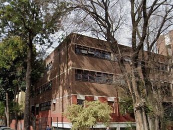 Habló la mamá del bebé de 12 días que murió tras caerle una palta en la cabeza: “Después vinieron a escondidas a podar el árbol”