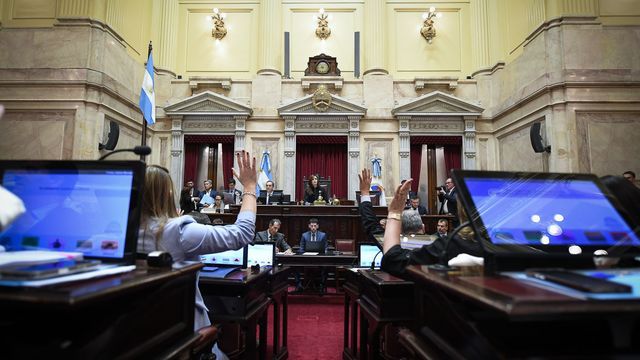 El Senado nacional otorgó este jueves media sanción al proyecto de ley que crea el Régimen de Incentivo para las Inversiones Relevantes (RIIR), con 60 votos afirmativos y dos negativos.