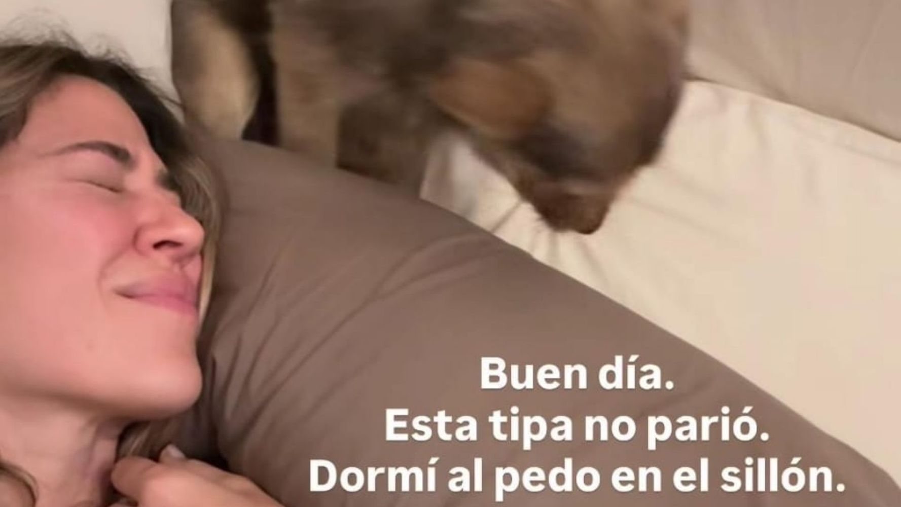 Jimena Barón y la emoción por el embarazo de su perra.