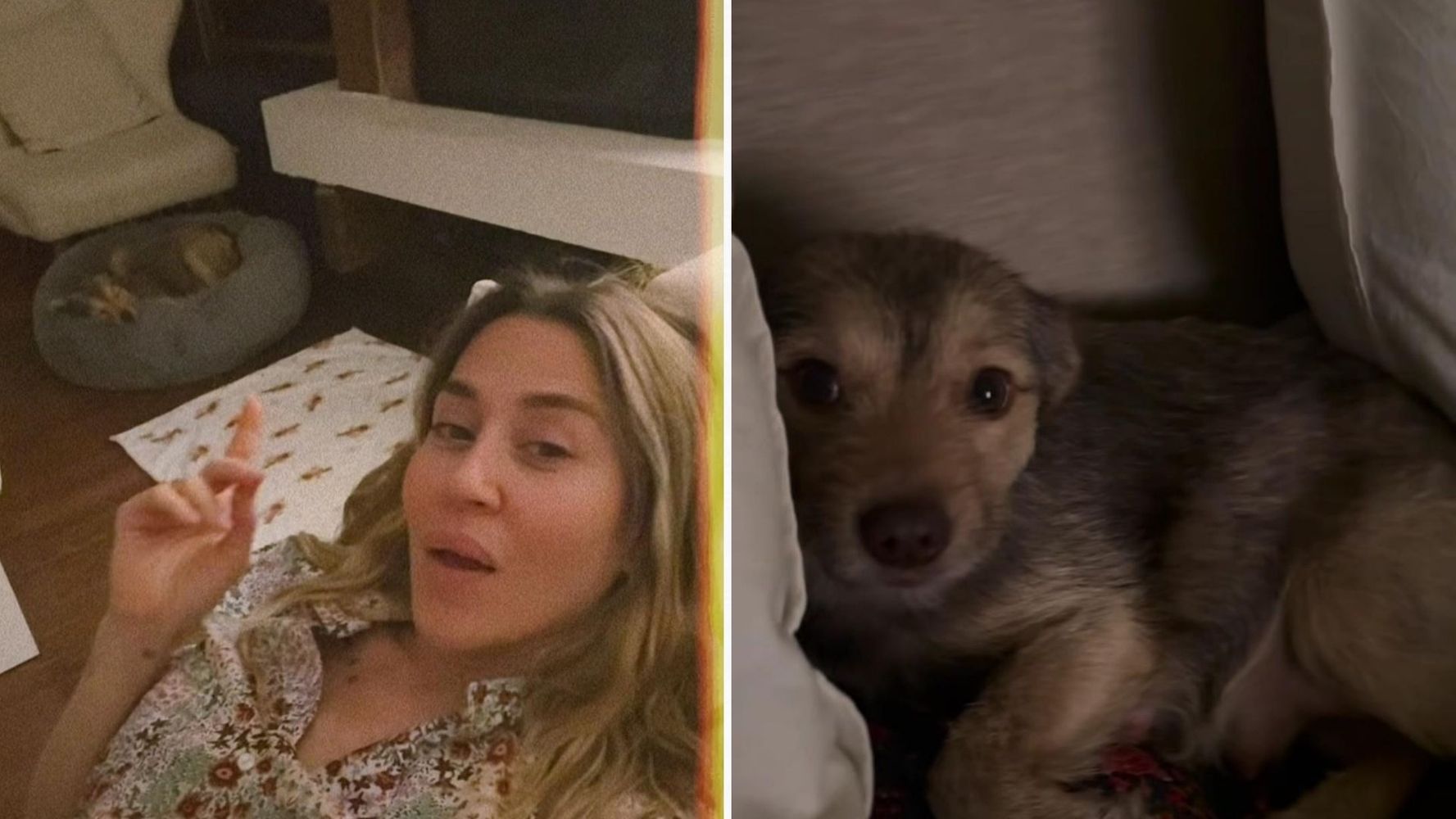 Jimena Barón y la emoción por el embarazo de su perra.