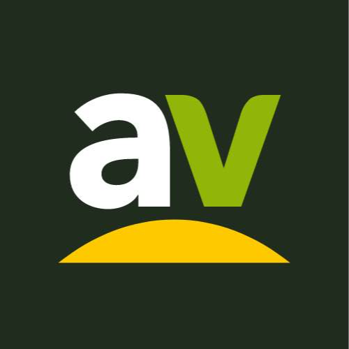 autor avatar