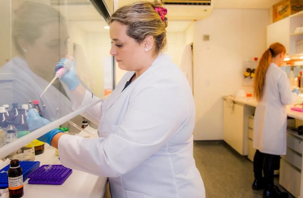 Una científica argentina ganó el premio internacional “Por las Mujeres en la Ciencia” de la UNESCO
Se trata de Florencia Cayrol, investigadora de CONICET, reconocida por sus estudios sobre cómo mejorar tratamientos oncológicos con bajos efectos secundarios. Es la 10ma argentina destacada por el galardón.