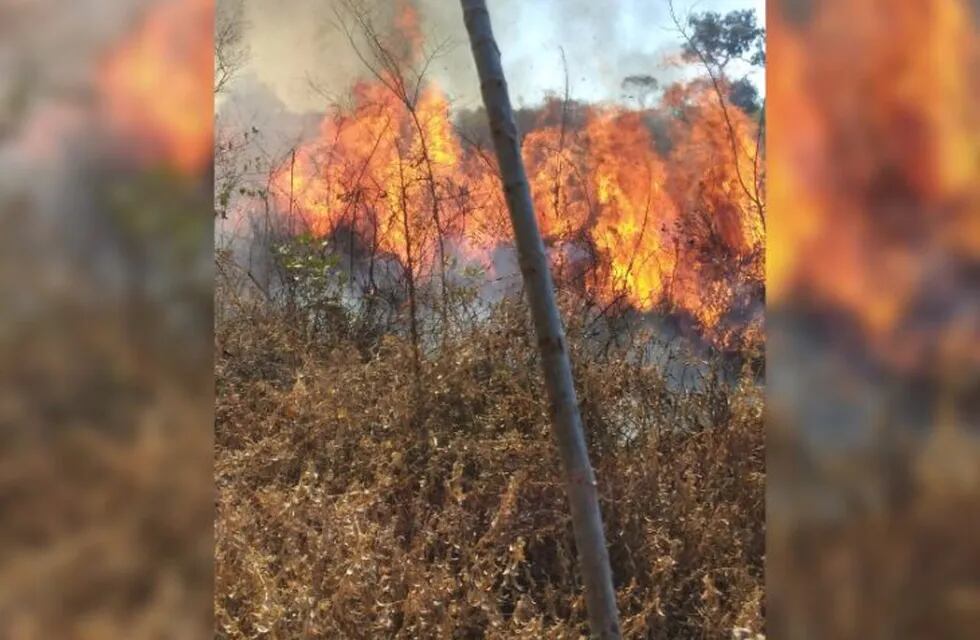 Las llamas alcanzaron un radio de 2 hectáreas.
