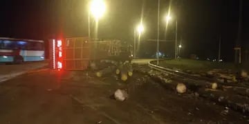 Un camión con rollos de pino volcó en Puerto Esperanza