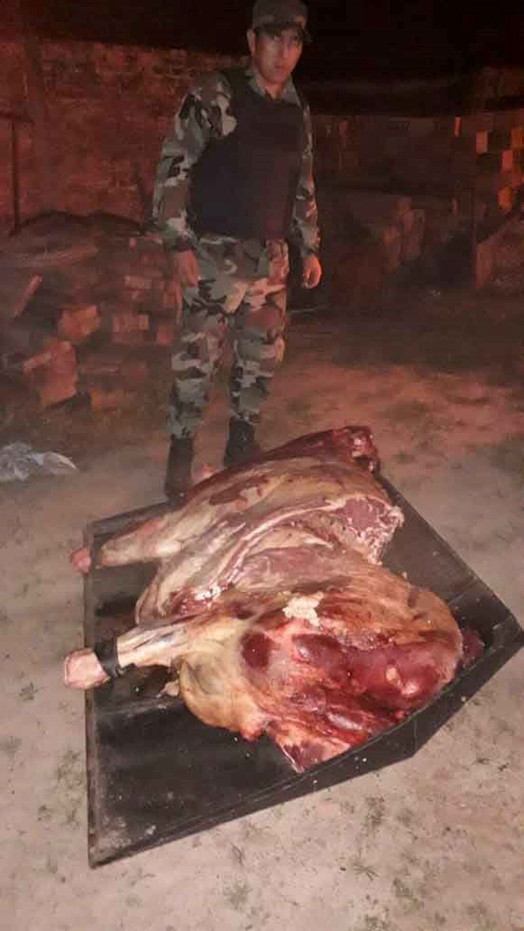 Decomisaron 150 kilos de carne no apta para consumo en Mosconi. (Policía de Salta)
