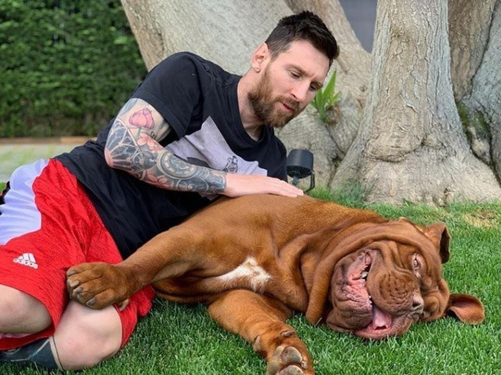 Lionel Messi jugando junto a su perro Hulk (Instagram).