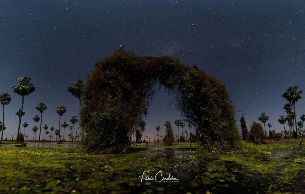 Los parajes embrujados del Bañado La Estrella, generan una mezcla de alegría, serenidad y contemplación de la inmensidad de la naturaleza. Foto: Pablo Córdoba