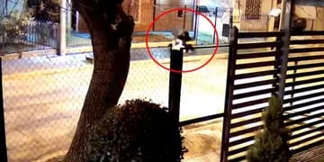 Violencia en Córdoba. El robo quedó registrado por una cámara de seguridad. (Captura de video / El Doce)