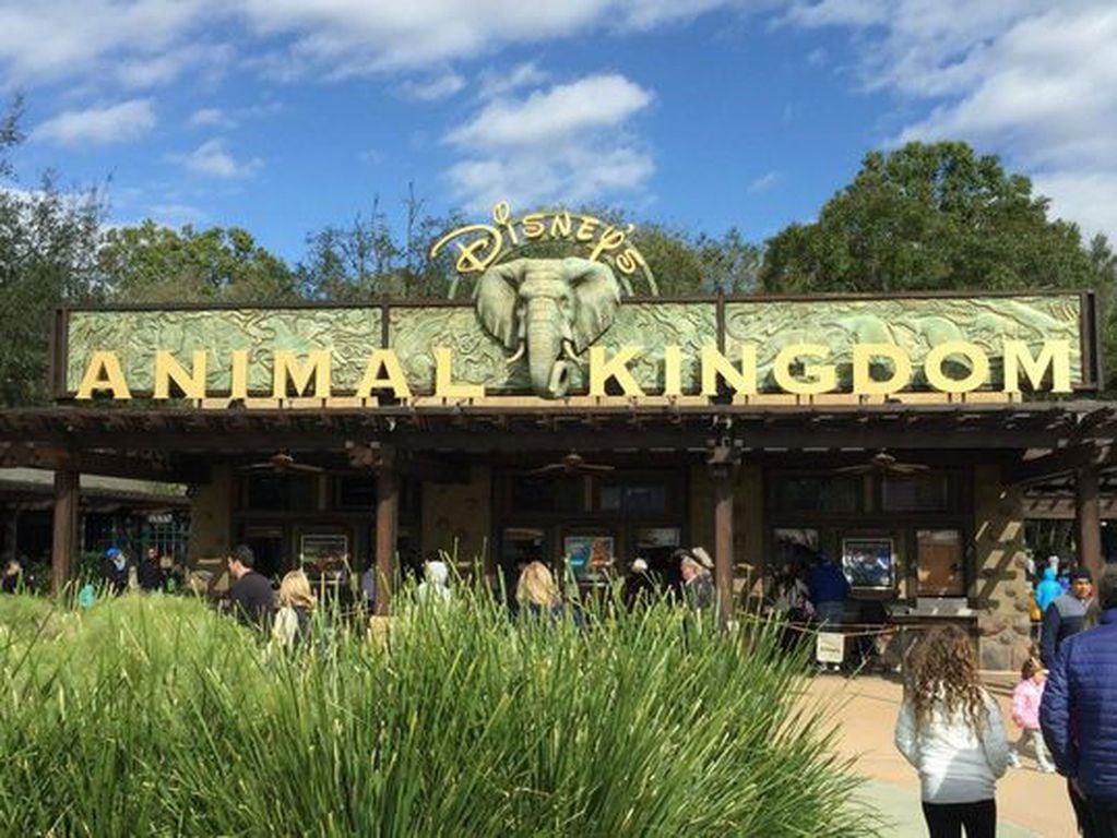 Los realizadores también trabajaron en el Disney’s Animal Kingdom en Orlando (Florida).