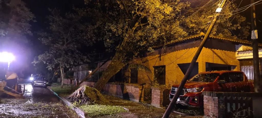 Fuerte temporal en Jujuy provocó caída de árboles, autos destruidos y daños en infraestructura.