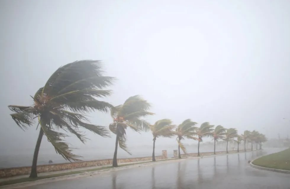 Palm trees sway in the wind prior to the arrival of the Hurricane Irma in Caibarien, Cuba, September 8, 2017. REUTERS/Alexandre Meneghini     TPX IMAGES OF THE DAY