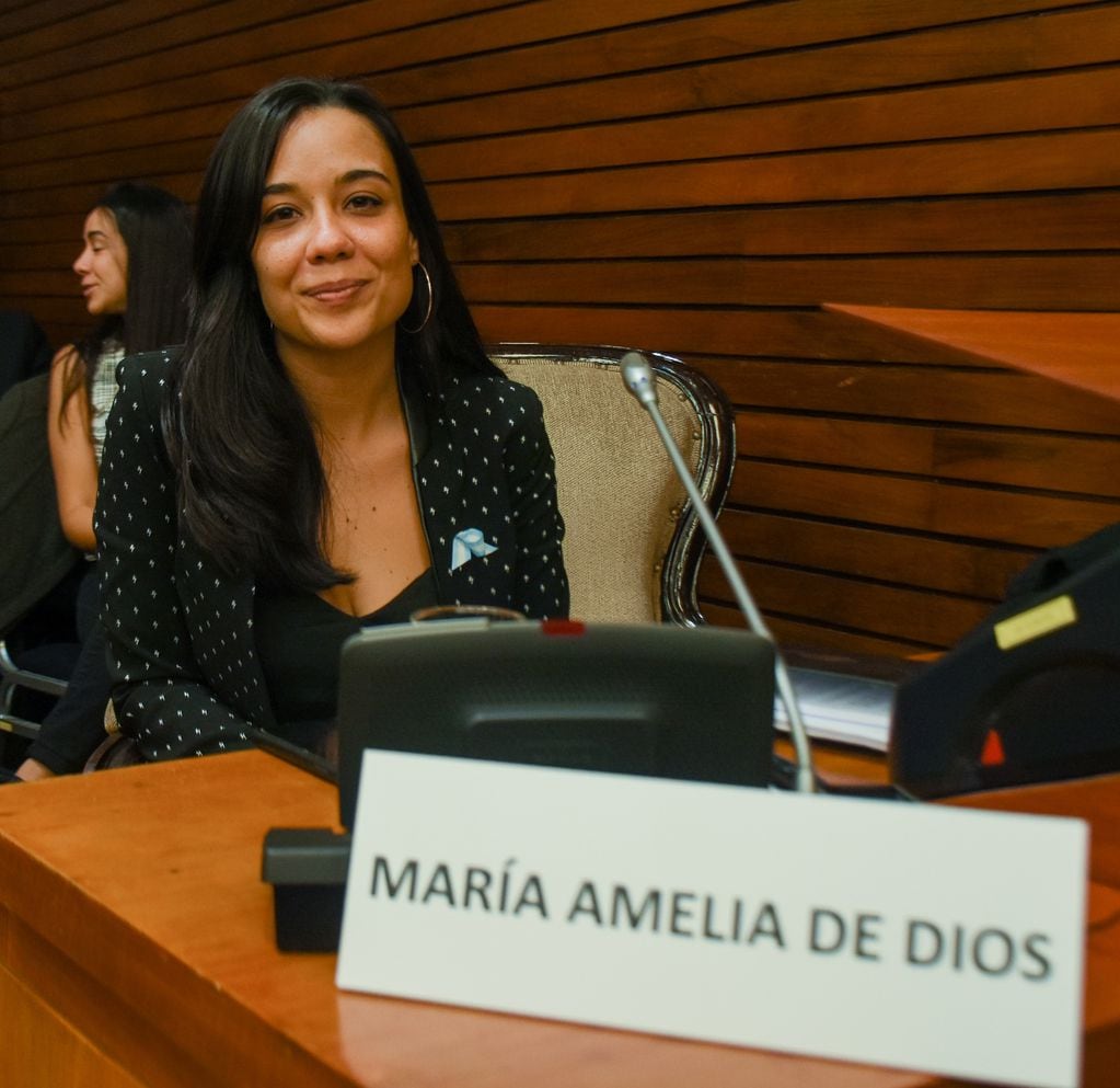 Amelia De Dios, convencional constituyente del bloque justicialista.