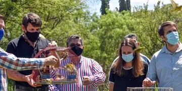 Liberaron aves silvestres en Córdoba