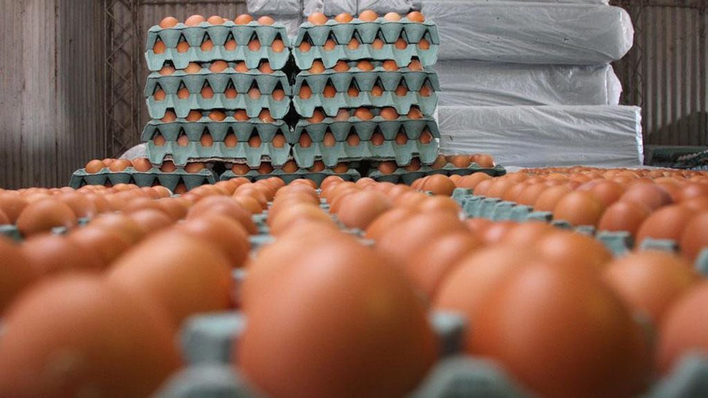 Huevos: el alimento que más aumentó en la primera semana de septiembre. 