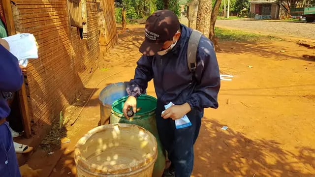 Operativos de limpieza y preventivos contra el dengue en Puerto Iguazú