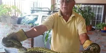 Rescatan a una serpiente de gran tamaño que apareció dentro de un auto en Posadas