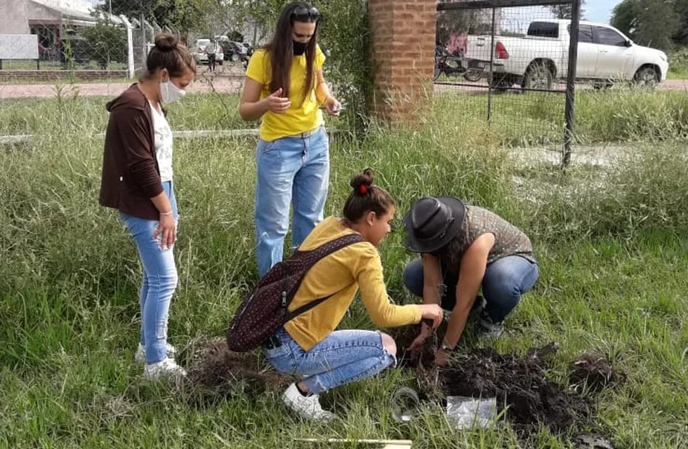 Estudiantes secundarios de El Zanjón plantaron árboles