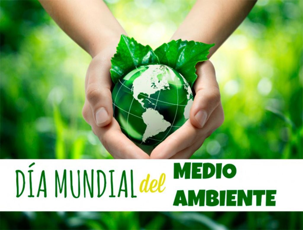 Día Mundial del Medio Ambiente -establecido por la ONU en 1972.​ Se celebra desde 1974 el 5 de junio de cada año.
Crédito: WEB