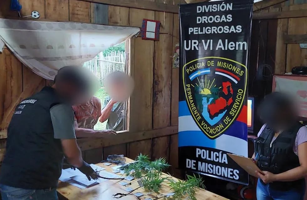 En un procedimiento por robo en San Javier, terminaron secuestrando plantines de marihuana.