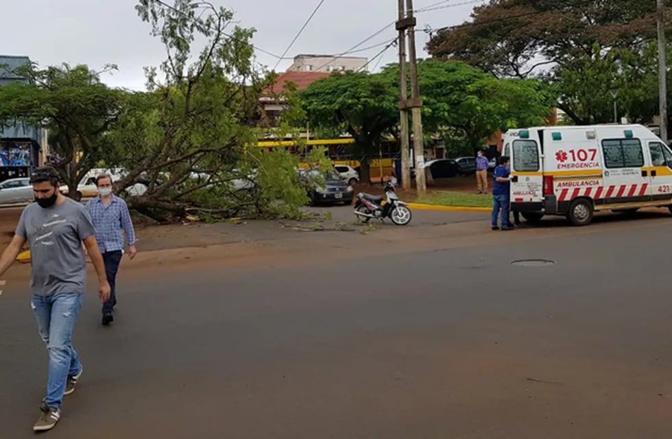 Un árbol hirió a una mujer que circulaba a bordo de su motocicleta. Policía de Misiones