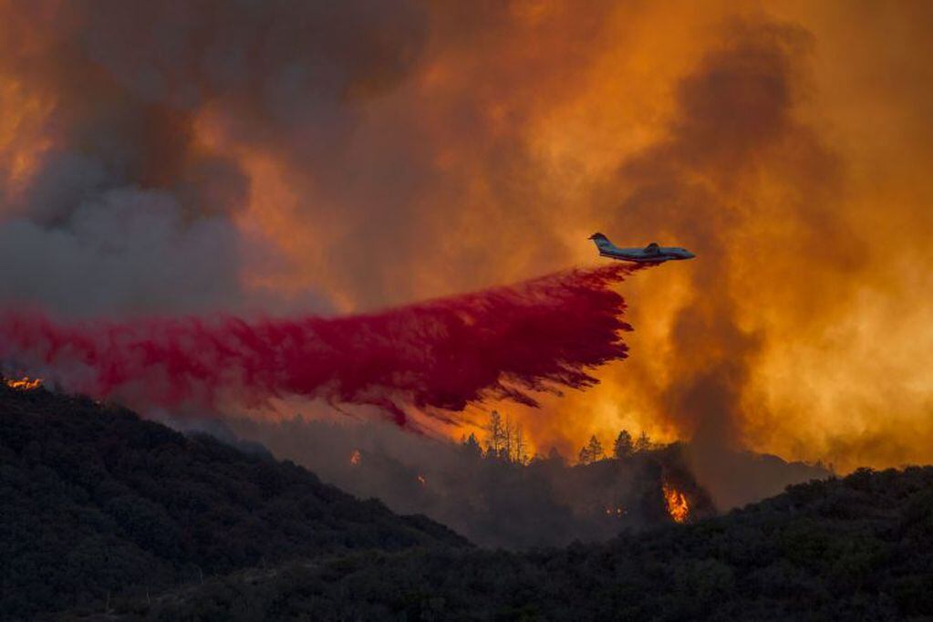 Un avión intenta apaciguar las llamas (crédito: AFP/ David Mcnew)