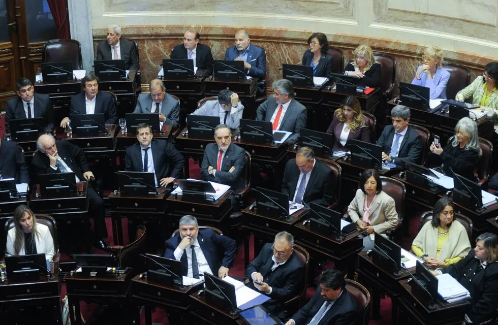 El oficialismo logró sancionar en el Senado el proyecto de Sergio Massa sobre impuesto a las Ganancias (Foto: Federico López Claro)