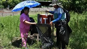Lucha contra el dengue en Jujuy
