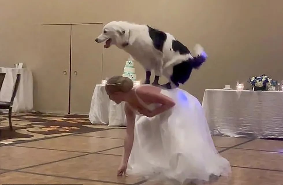 Sara Carson se casó en Las Vegas y protagonizó un show junto a su perro