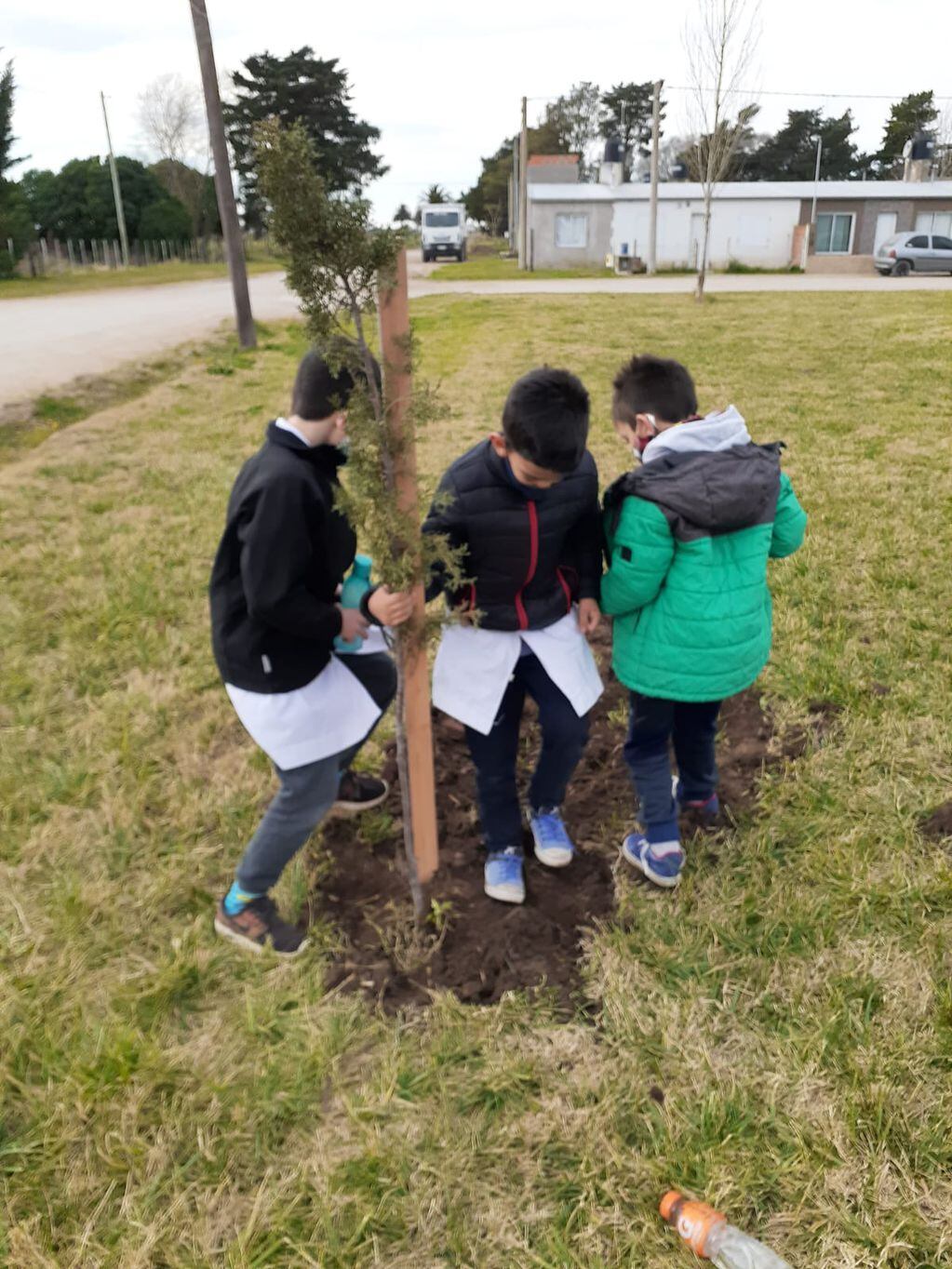 Niños de la Escuela Nº 17 de Orense plantaron pinos