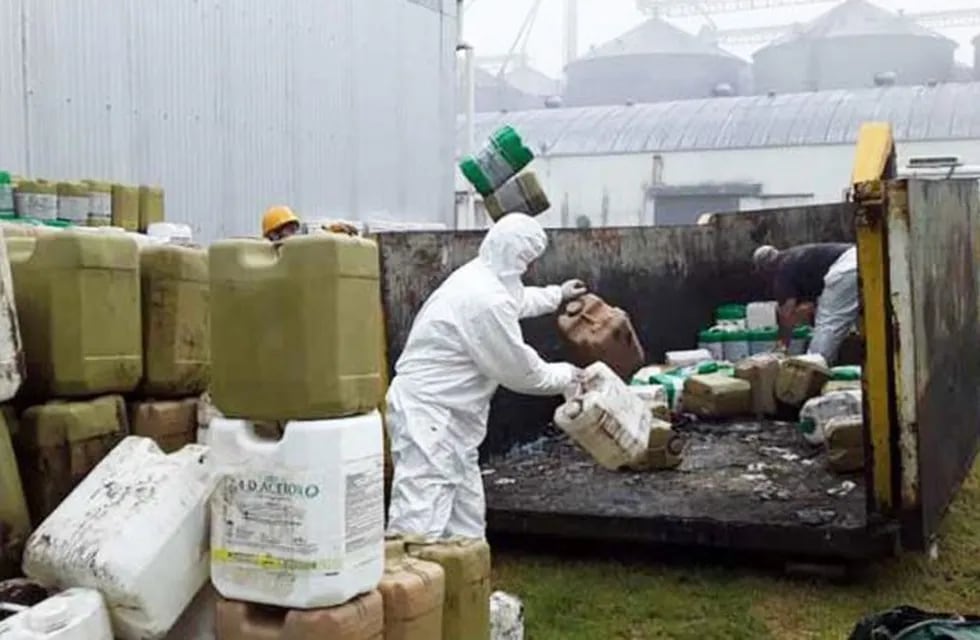 Recolectan envases vacíos de agroquímicos en La Pampa (El Diario)