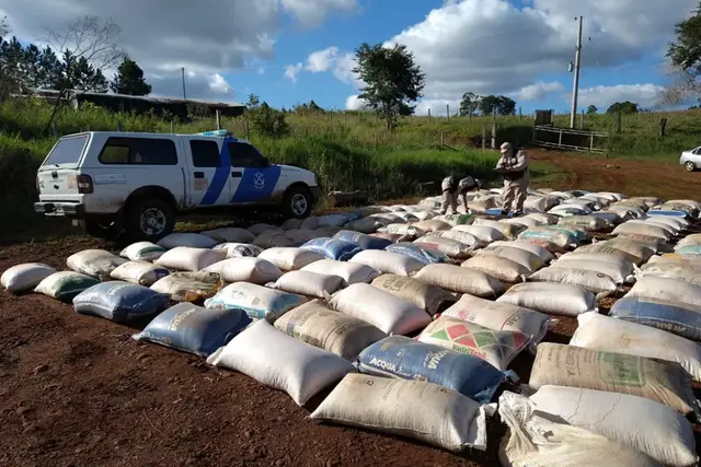 Más de 8 toneladas de granos ilegales secuestrados en El Soberbio