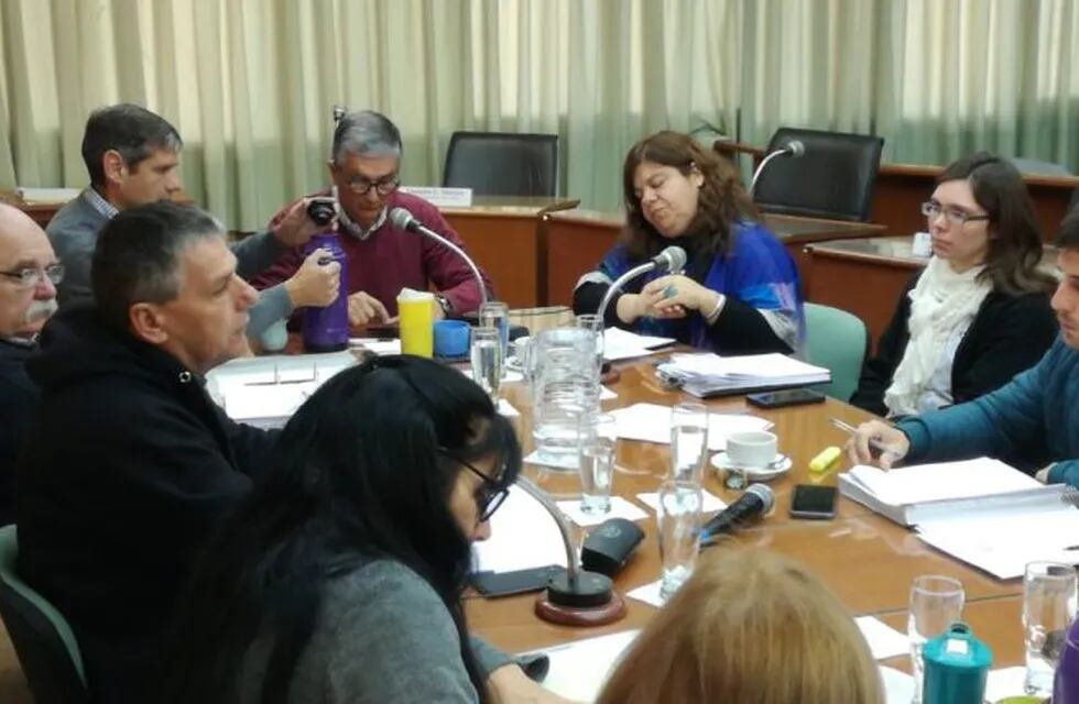 Para el anterior pedido, el Concejo Municipal de Rafaela se reunió con Marcela Basano, Daniel Ricotti y Luis Ambort. (Prensa Concejo Municipal