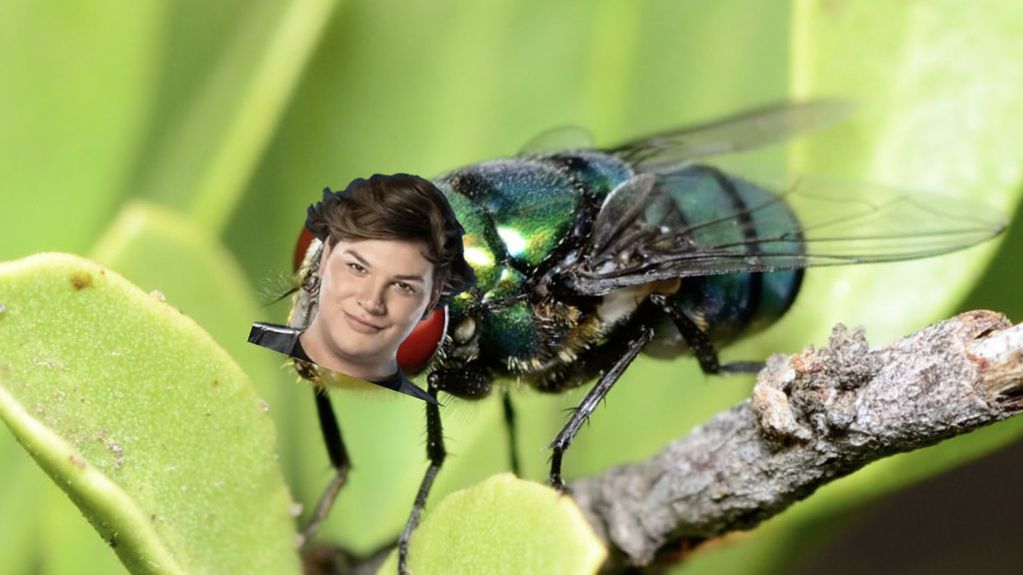 Los memes después de la nominación de Zoe a Emma Vich: "Es como una mosca verde, molesta", dijo.