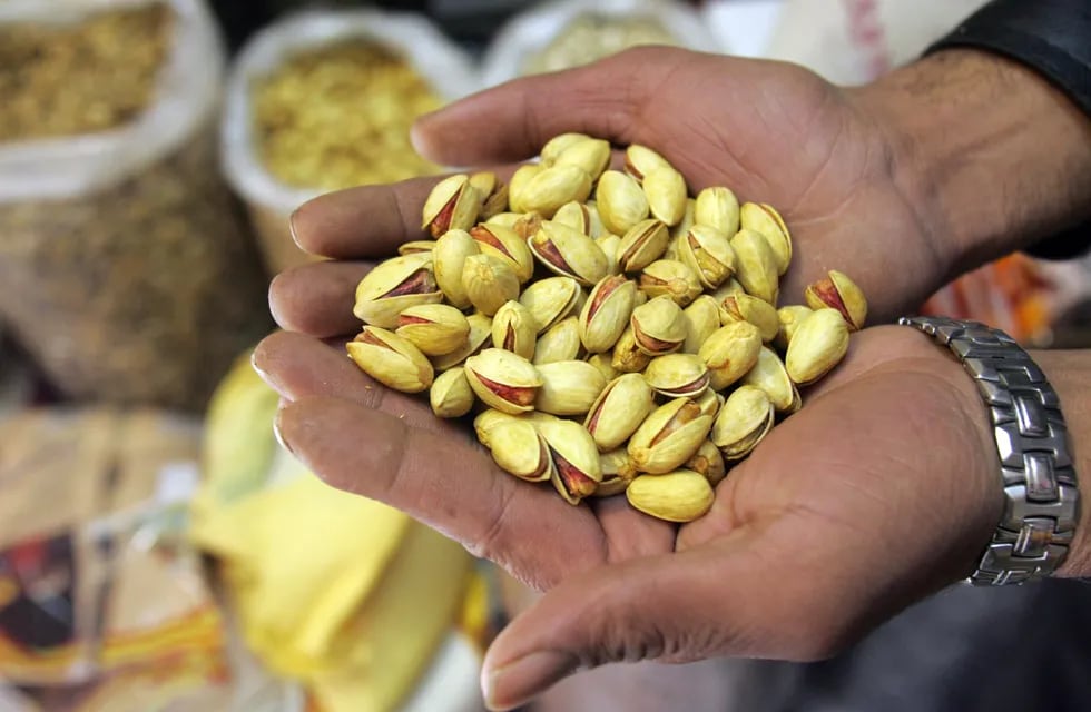 El pistacho argentino promete en la Provincia de San Juan