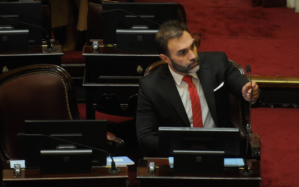 El jefe del bloque oficialista en el Senado, Ezequiel Atauche. Foto: Federico López Claro