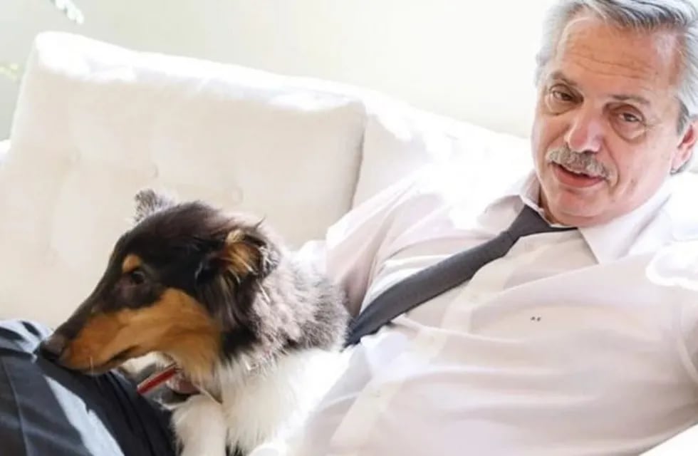 Alberto Fernández y su perro Prócer (Foto: Instagram)
