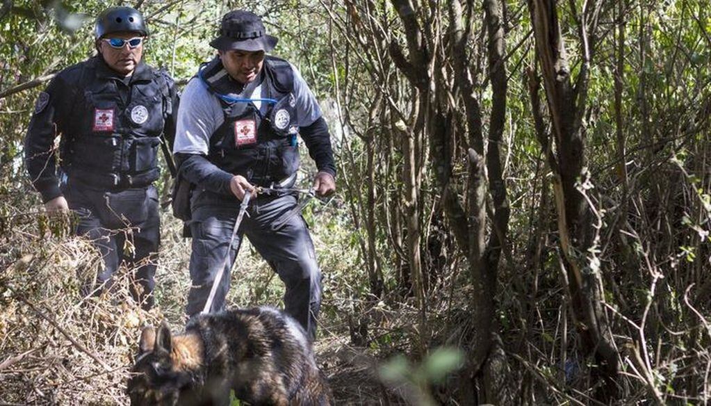 Los policías con uno de los perros que encontró el cuerpo de la joven. (Web)