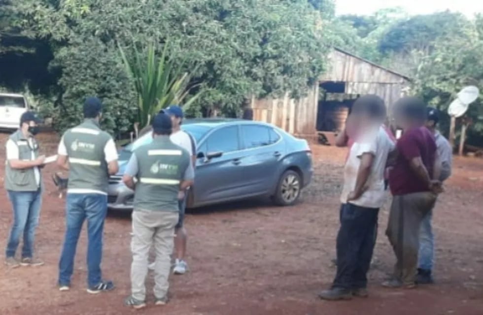 San Pedro: la Policía junto al INYM detectaron otro punto de acopio ilegal de yerba mate