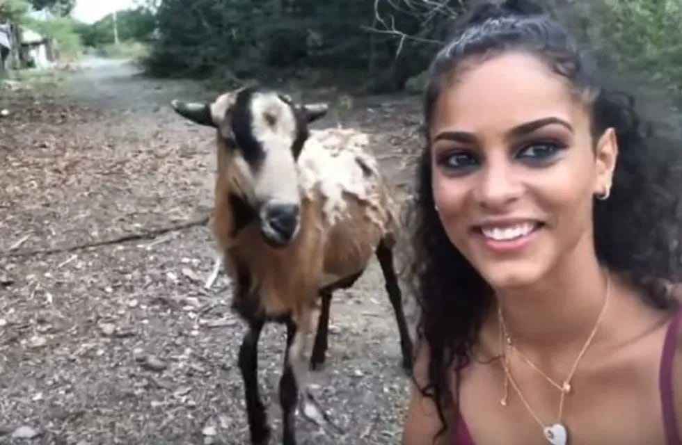 Mujer golpeada por cabra