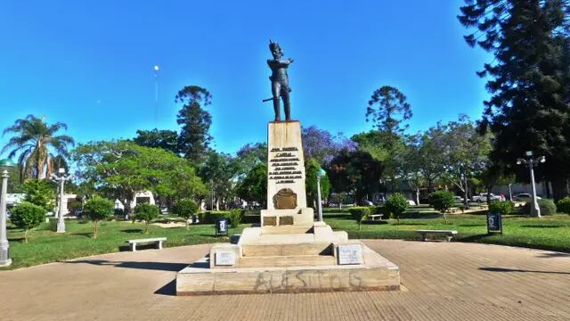 Enjambre atacó y mató a un perro en Corrientes.