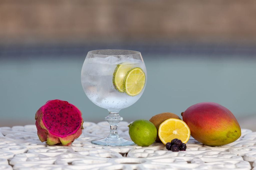 Gin tonic, el trago del momento (Gentileza: Adrián Gareils).