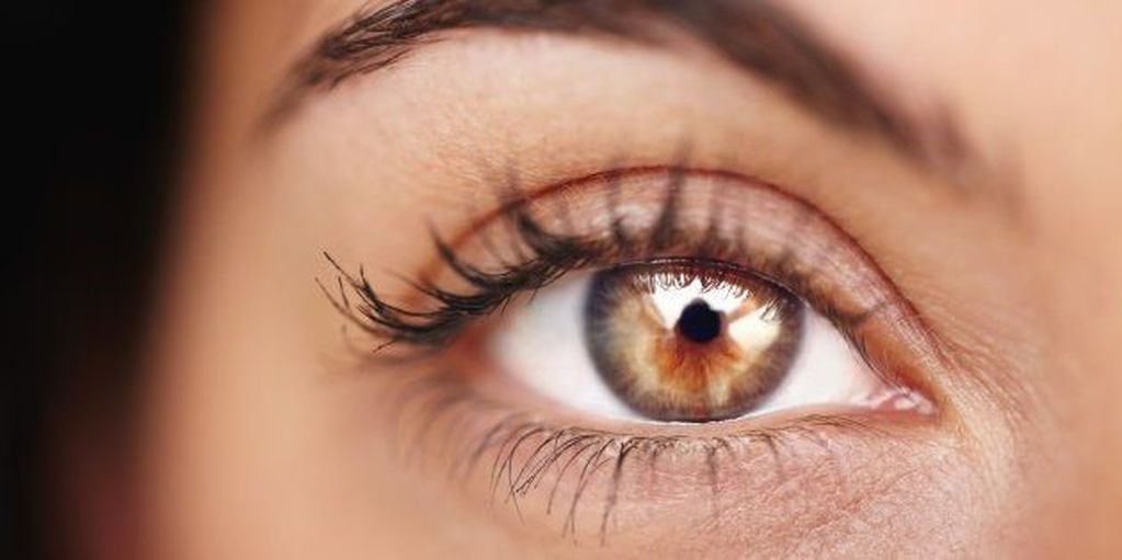 La mioquimia se define como un trastorno que se manifiesta en el músculo orbicular del ojo.