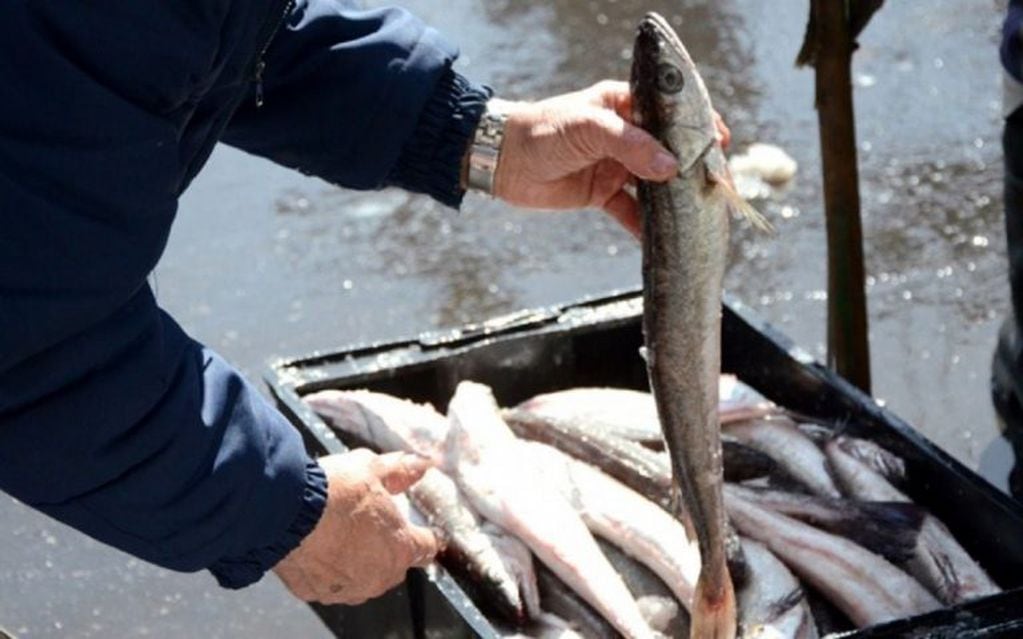 Denuncian crecimiento exponencial de la pesca clandestina en el río Paraná