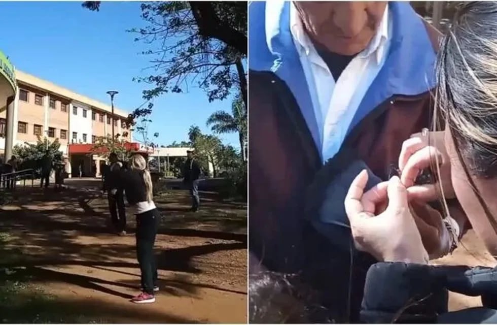 Acto de bondad en el Hospital Madariaga de Posadas: rescataron a una paloma atrapada en un hilo de nylon.