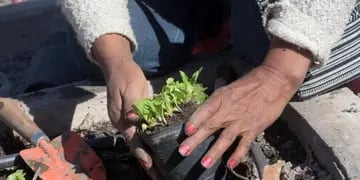 Entregan semillas del programa Huerta en Casa