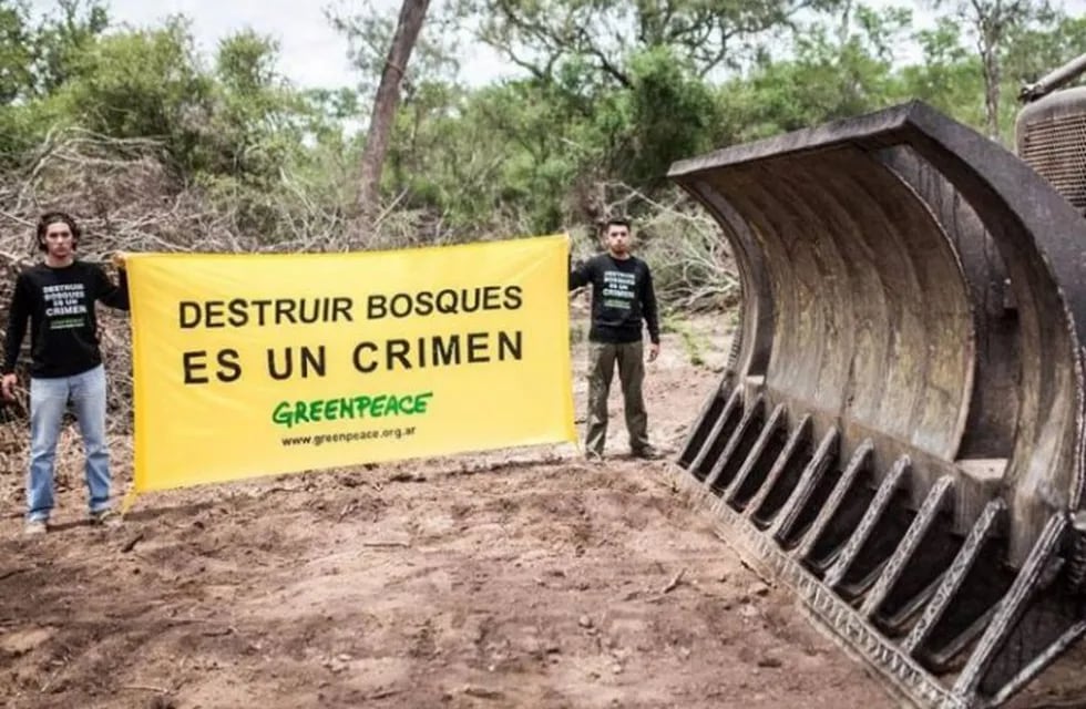 Un fuerte pedido de Greenpeace para que el Chaco declare la emergencia ambiental