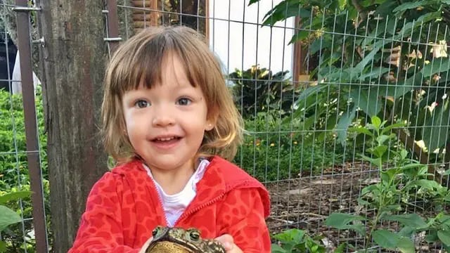 Corrientes: nena de tres años viral por tener sapos como mascotas