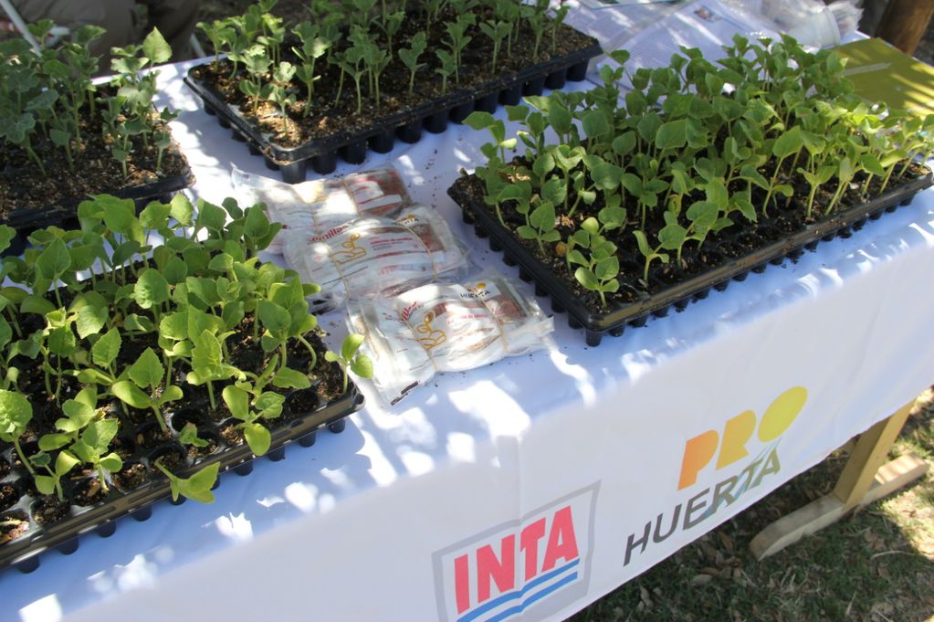 El INTA es el encargado de realizar estudios en el sector agropecuario. 